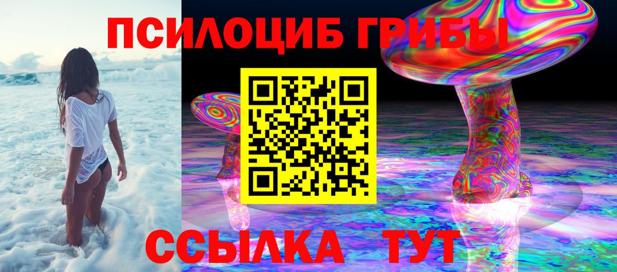 Псилоцибиновые грибы Magic Shrooms  Вход с VPN  Кизляр 